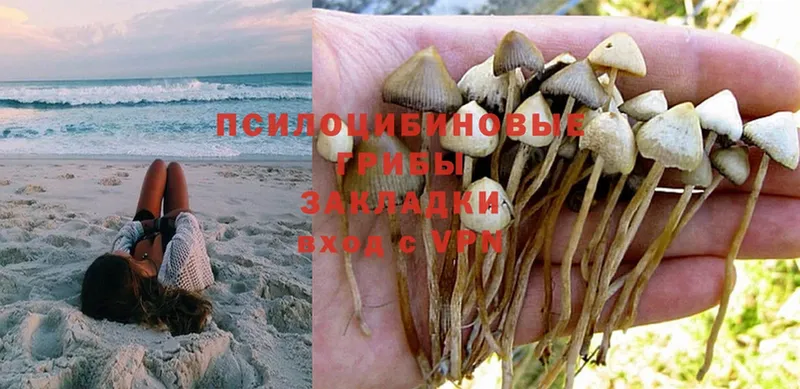 Псилоцибиновые грибы Magic Shrooms  как найти наркотики  Усолье-Сибирское 